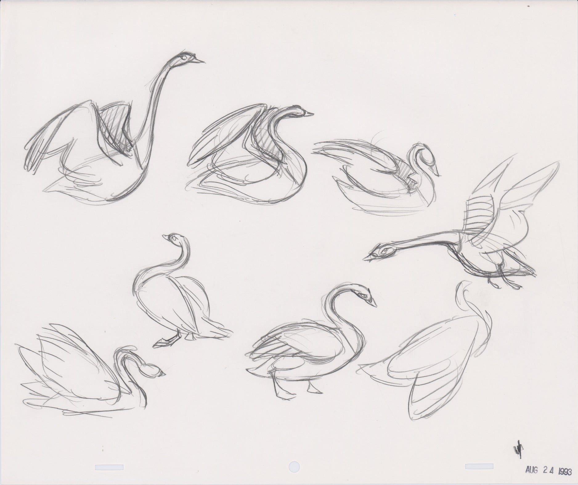 Swan Production Model Art | The Swan Princess