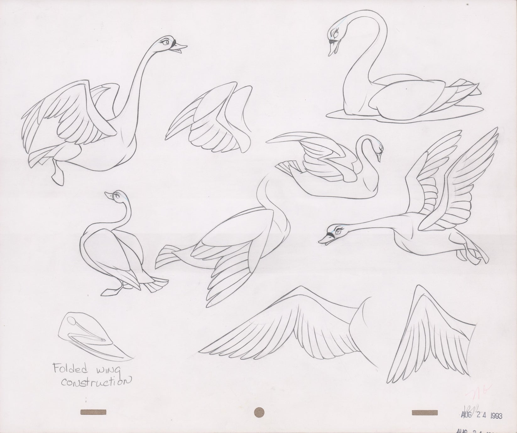 Swan Production Model Art | The Swan Princess